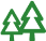 Pine tree icon