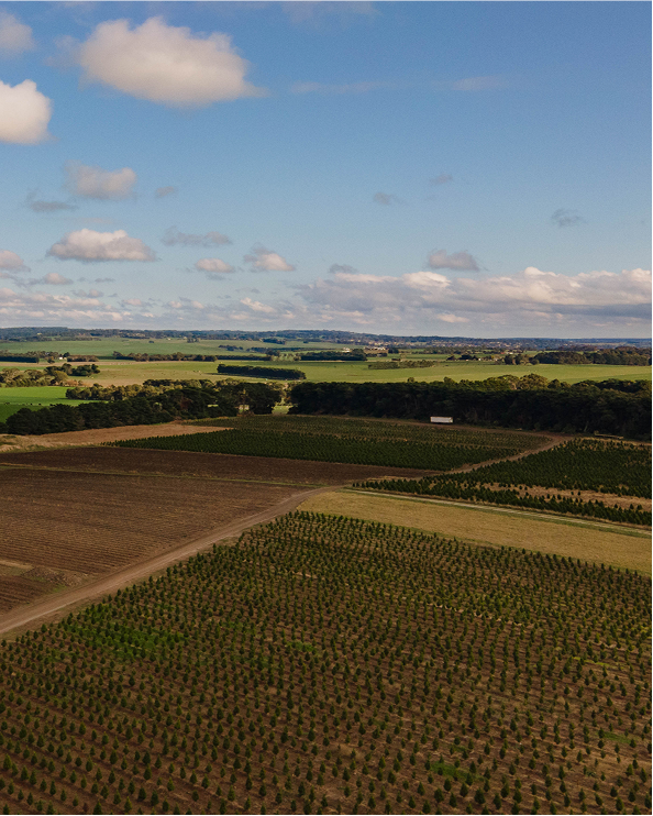 A drone photograph of Yeowarra farm