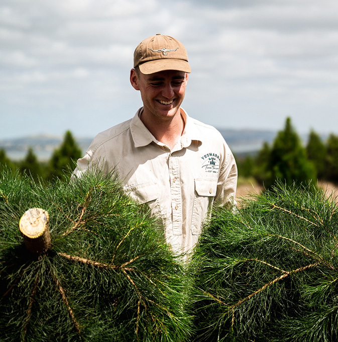 A male Yeowarra employee smiling while holding two harvested pine trees. He wears a beige shirt and brown cap.
