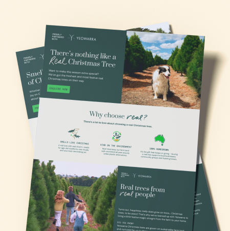 Yeowarra wholesale brochures