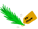 Pine branch illustration