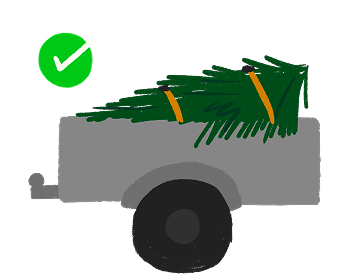 Illustration of a pine tree in a trailer